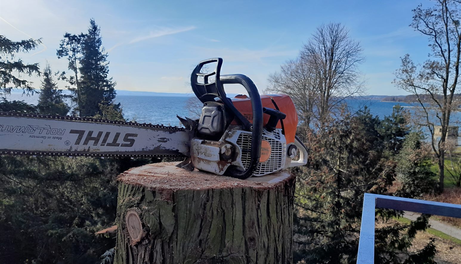 Baumfällarbeiten